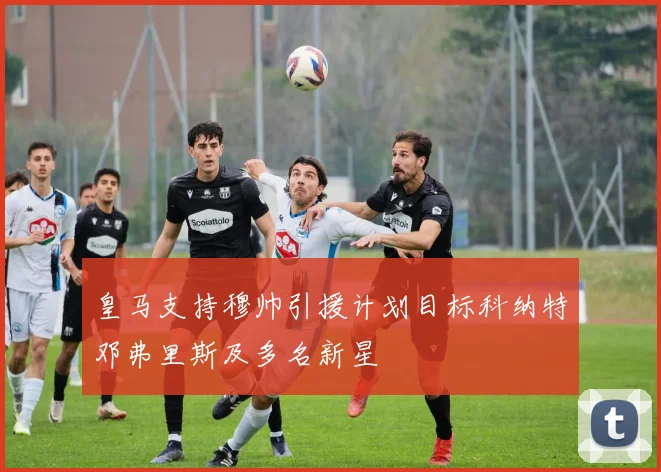 皇马支持穆帅引援计划目标科纳特邓弗里斯及多名新星