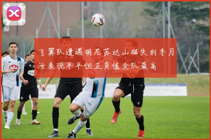 飞翼队遭遇明尼苏达山猫失利李月汝表现平平但正负值全队最高